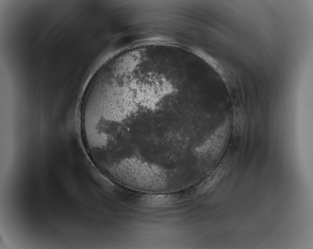 X0000093461474200710121357