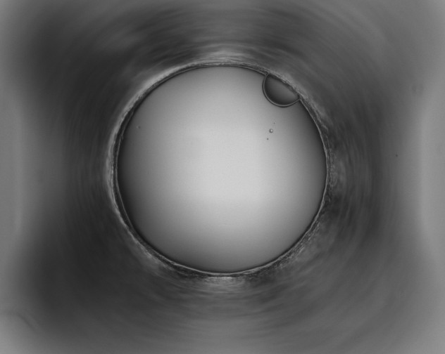 X0000093461478200710121357