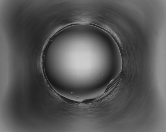 X0000093461480200710121357
