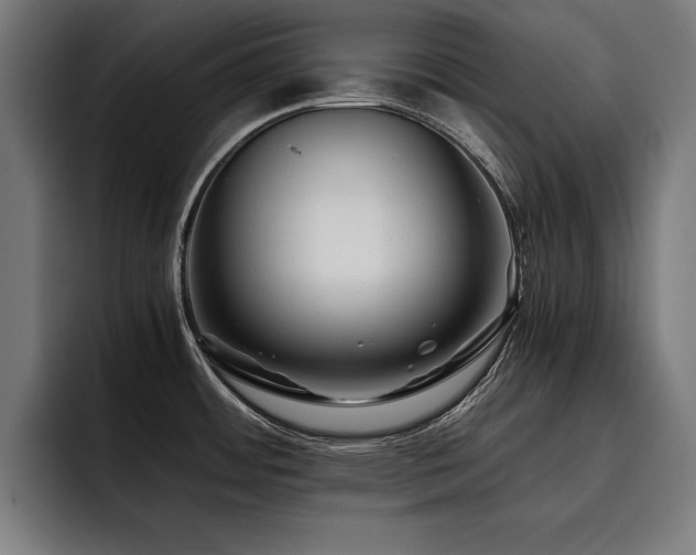 X0000093461484200710121357