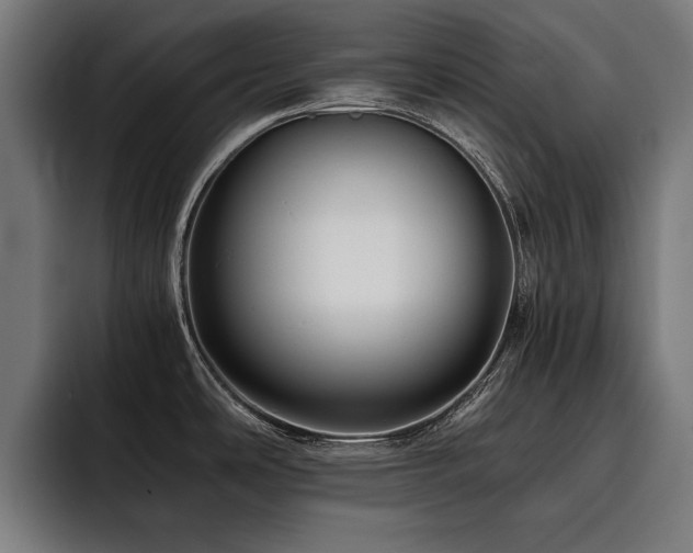 X0000093461486200710121357