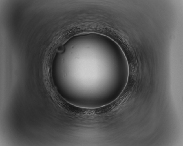 X0000093461489200710121357