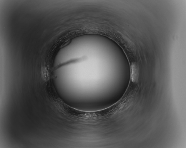 X0000093461491200710121357