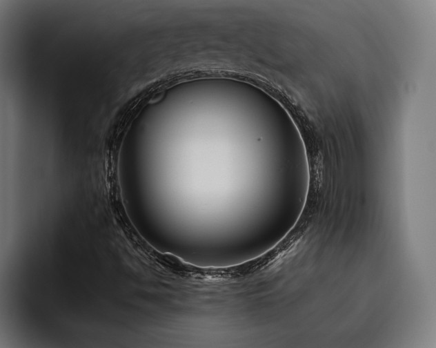 X0000093461494200710121357