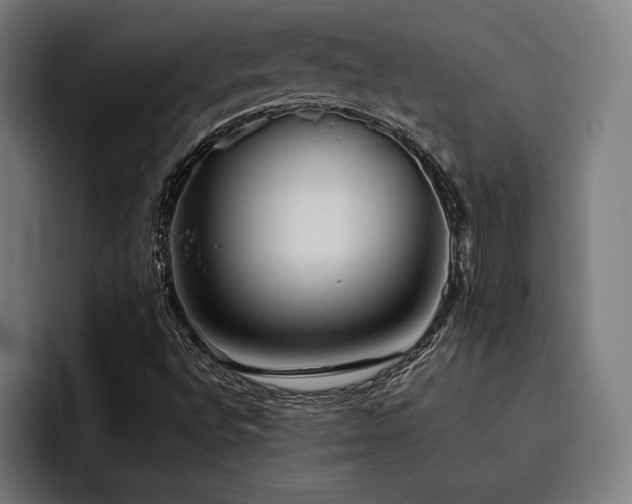 X0000093461496200710121357