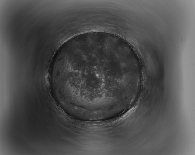 X0000093461497200710121357