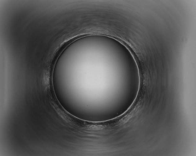 X0000093461499200710121357