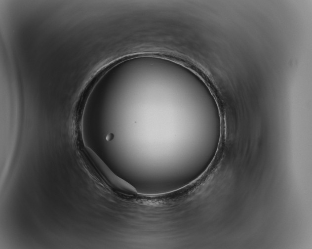 X0000093461501200710121357