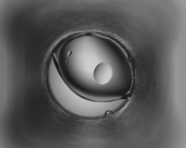 X0000093461502200710121357