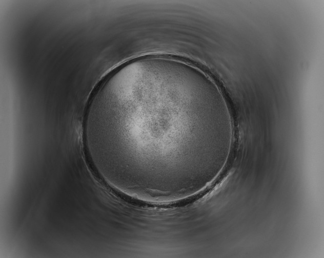 X0000093461505200710121357