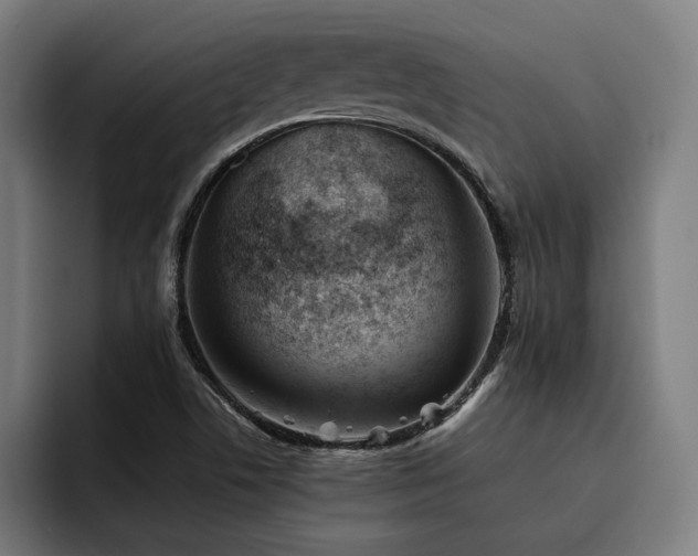 X0000093461506200710121357