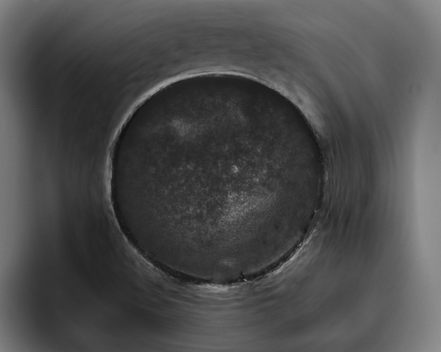 X0000093461508200710121357
