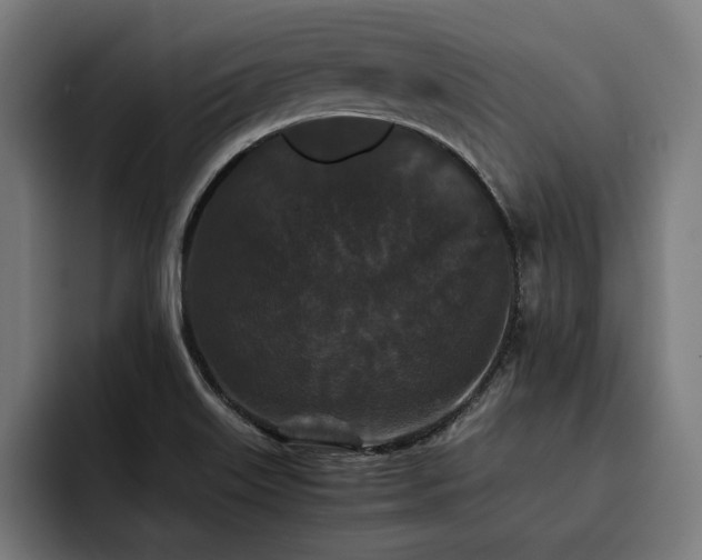 X0000093461515200710121357