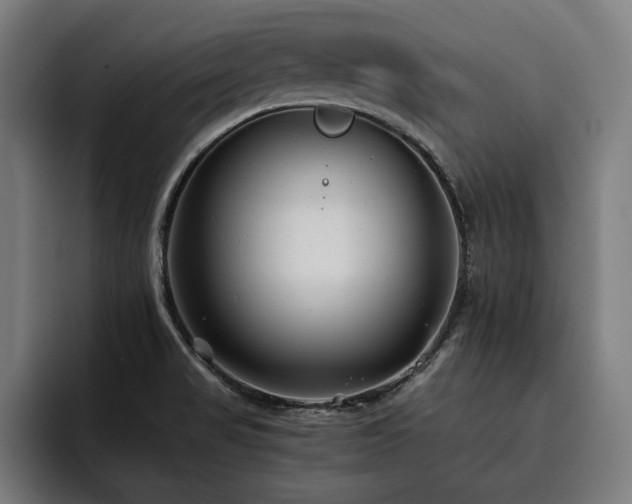 X0000093461517200710121357
