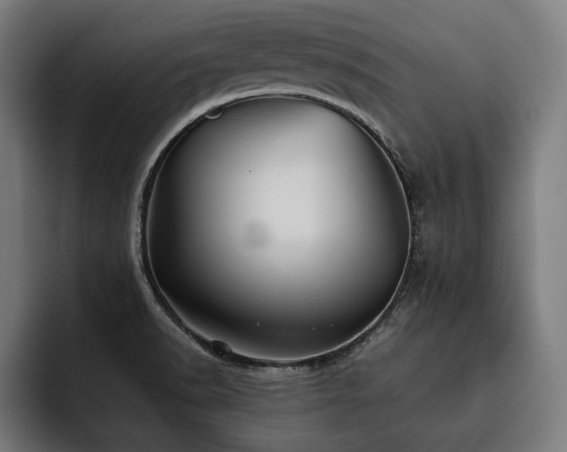 X0000093461518200710121357