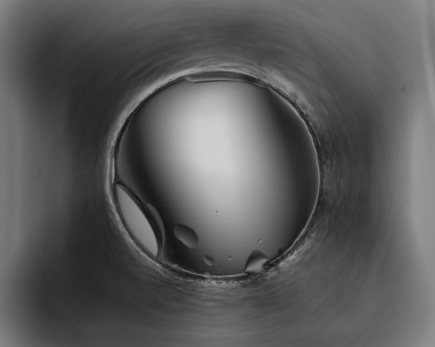 X0000093461520200710121357