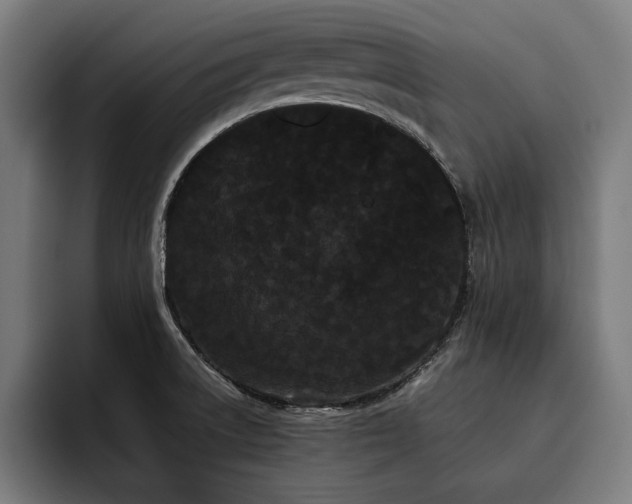 X0000093461522200710121357