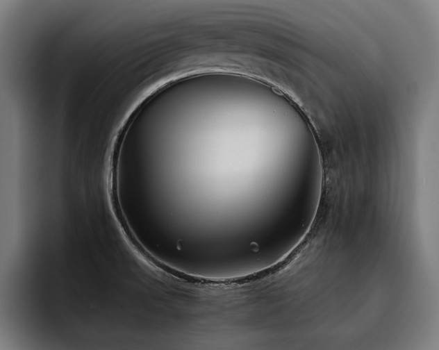 X0000093461523200710121357