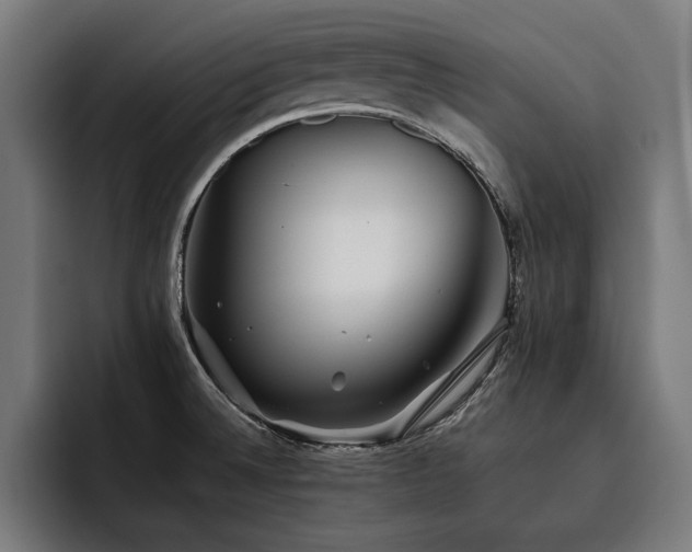 X0000093461524200710121357