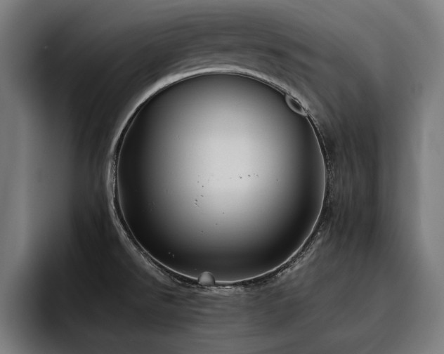 X0000093461526200710121357