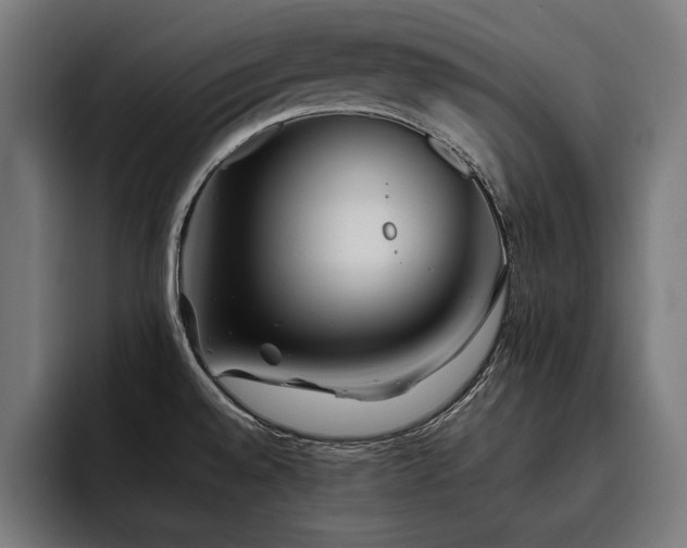 X0000093461528200710121357