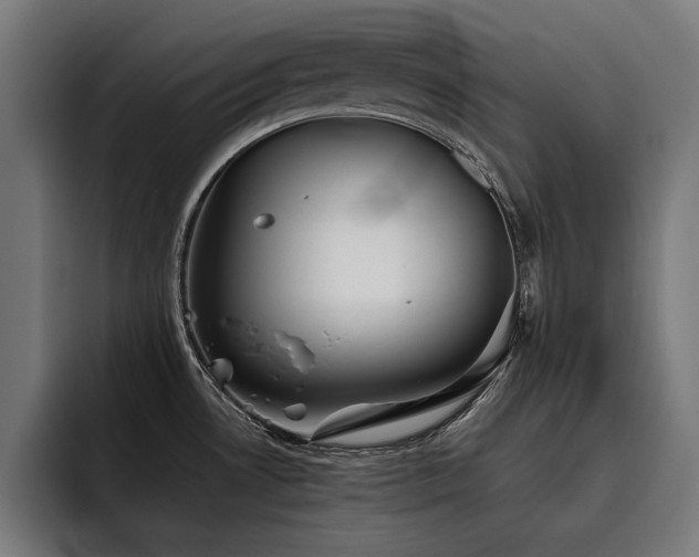 X0000093461530200710121357