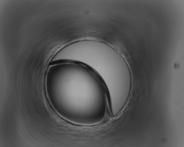 X0000093460001200710191133