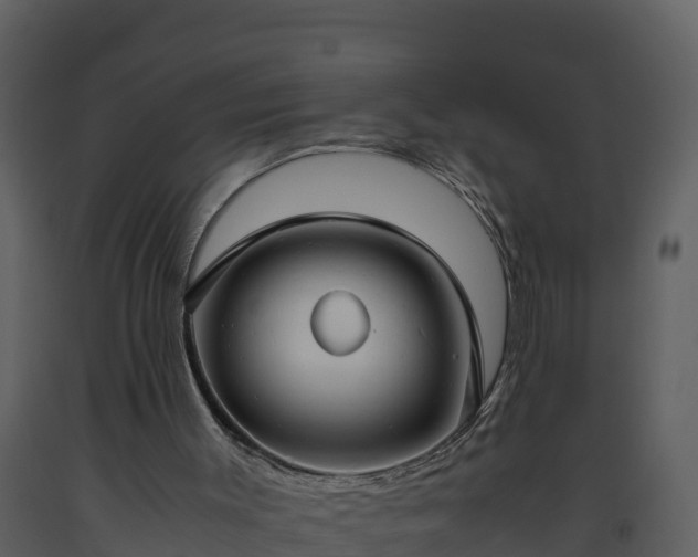 X0000093460003200710191133