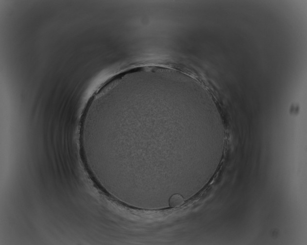 X0000093460006200710191133