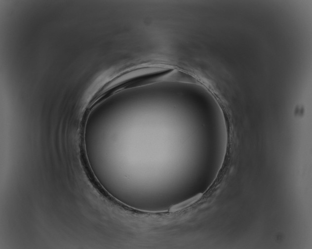 X0000093460007200710191133