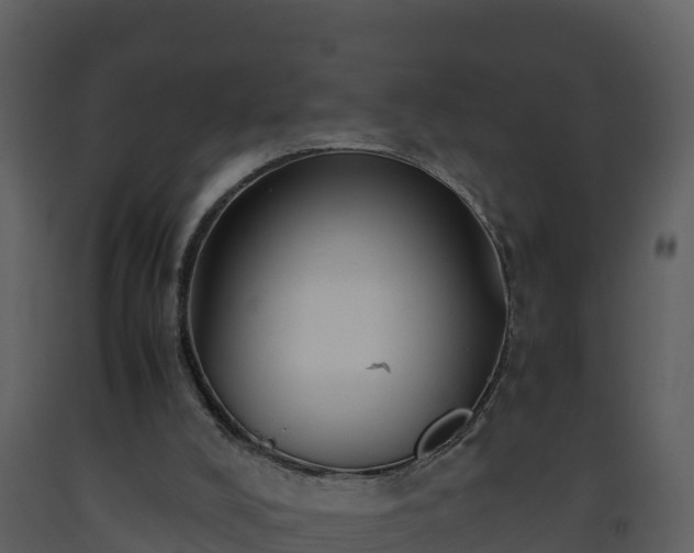 X0000093460008200710191133