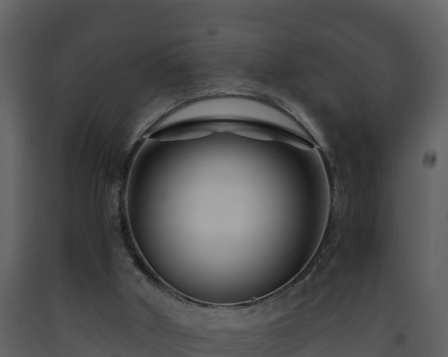 X0000093460010200710191133