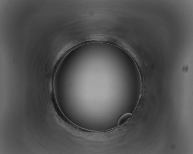 X0000093460011200710191133