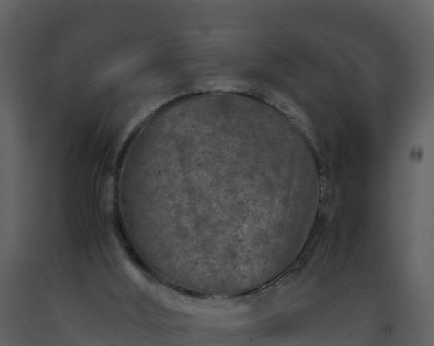 X0000093460012200710191133