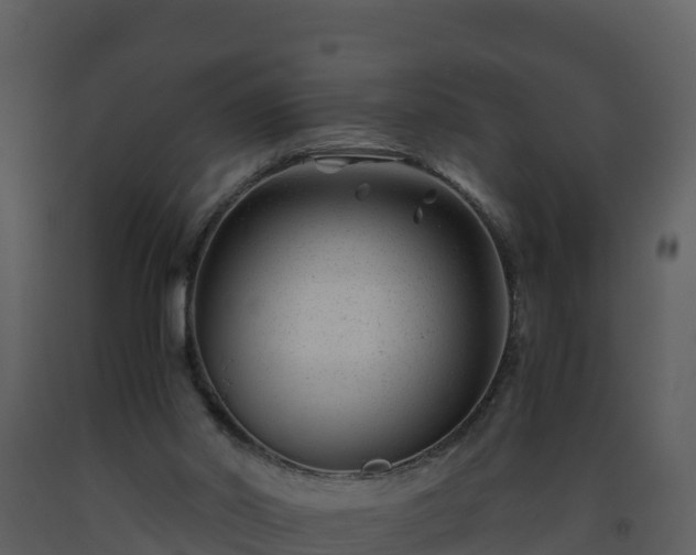 X0000093460014200710191133