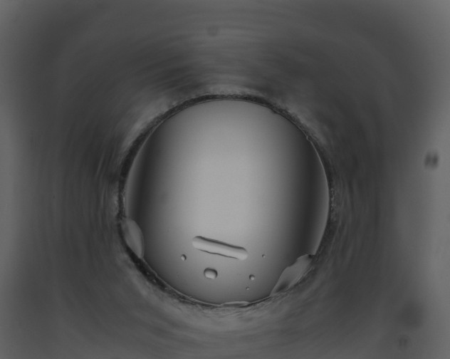 X0000093460015200710191133