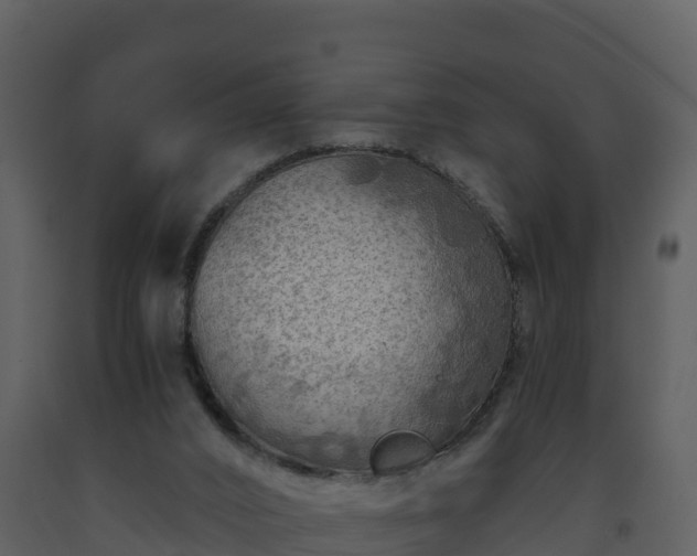 X0000093460016200710191133