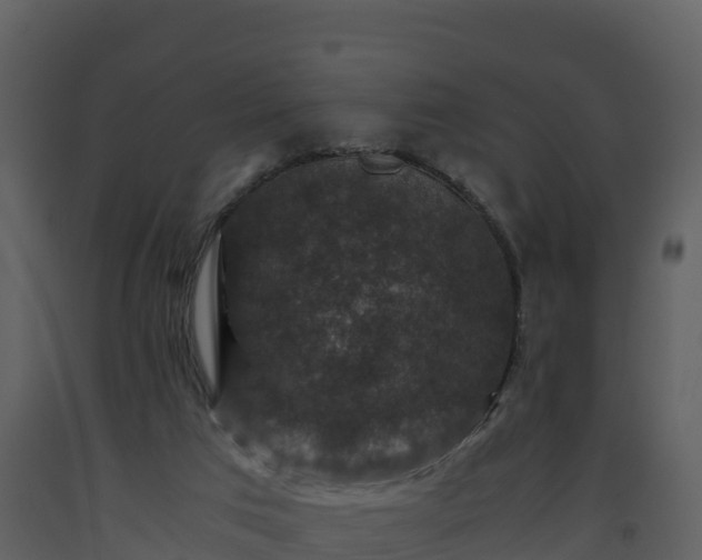 X0000093460017200710191133