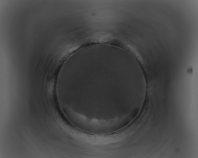 X0000093460018200710191133