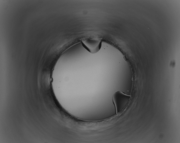 X0000093460021200710191133