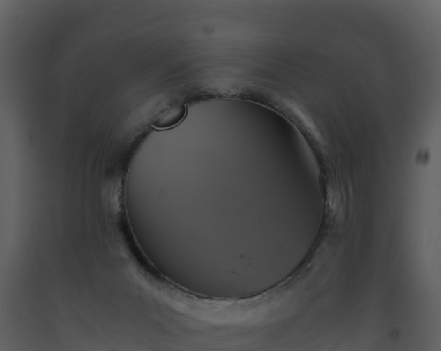 X0000093460023200710191133