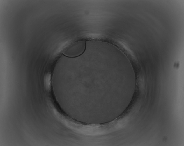 X0000093460024200710191133