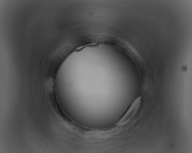 X0000093460025200710191133