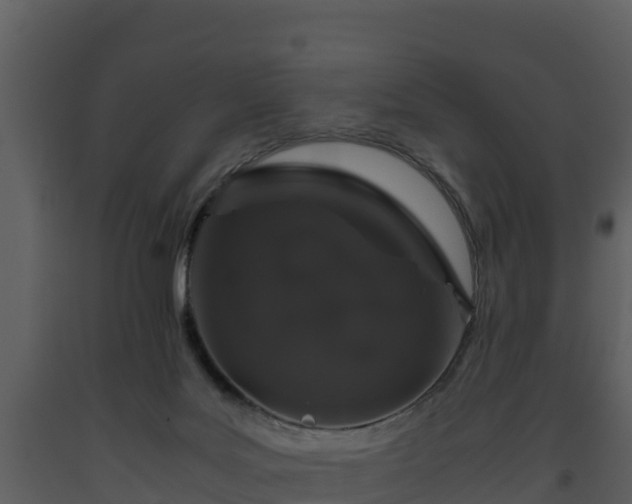 X0000093460027200710191133