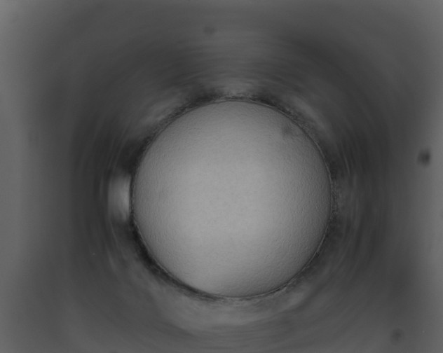 X0000093460028200710191133