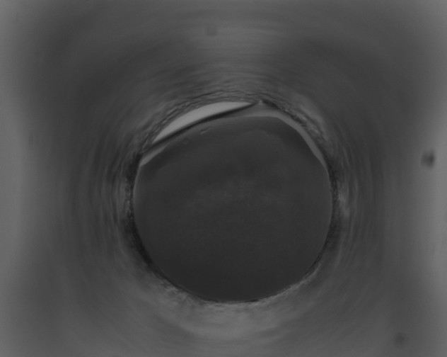 X0000093460029200710191133