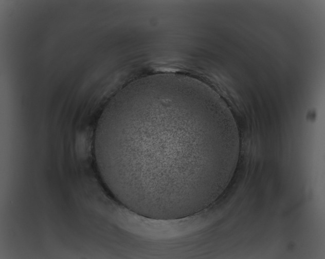 X0000093460030200710191133