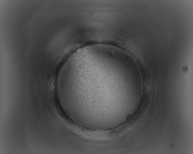 X0000093460032200710191133