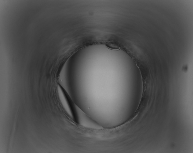 X0000093460033200710191133