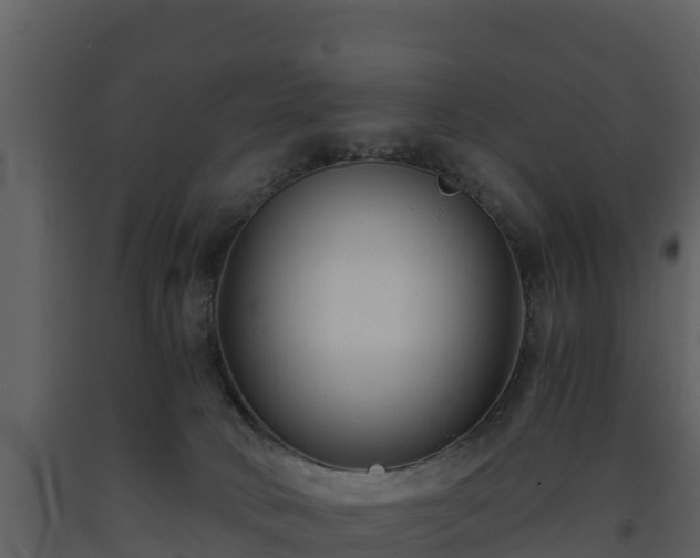 X0000093460034200710191133